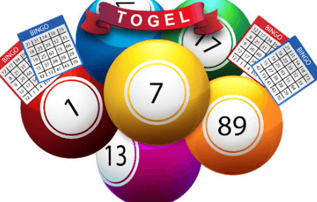 Kode Alam dari Judi Togel Tawon