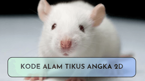 Kode Alam Togel Hewan Tikus 2D